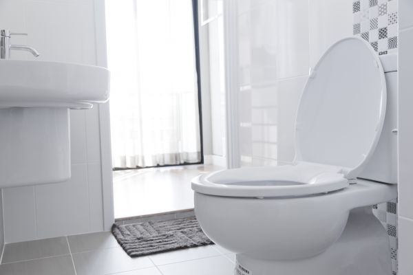 Toilet Relocation in Spring Hill