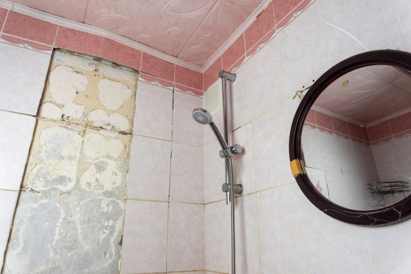 Top Shower Remodeling Companies in New Port Richey, FL